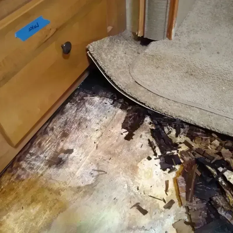 Best Wood Floor Water Damage Service in Leetonia, OH